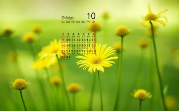 10月和工作计划5篇