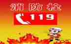 119消防日小学演讲稿优质7篇