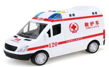 急诊120医生工作总结5篇