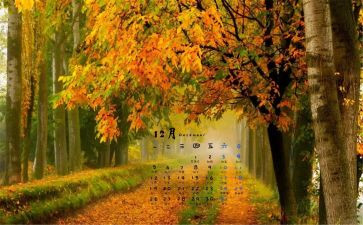 大学生12月转正申请书6篇