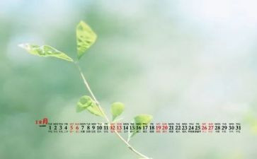 幼儿园12月份月工作总结5篇