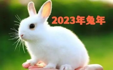 2023村事迹材料参考7篇