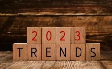 2023年个人租房合同模板6篇