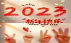 2023年政府办公室工作总结通用8篇
