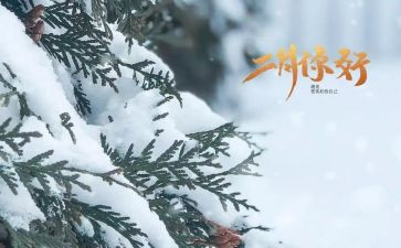 中班2月份工作总结2022精选6篇