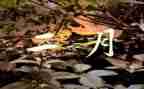 幼儿园中班2月份月计划5篇
