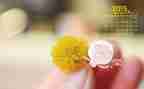 2月份工作报告8篇