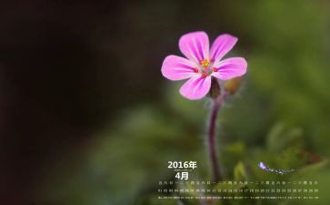 销售4月工作总结精选8篇