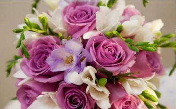 520活动方案策划最新5篇