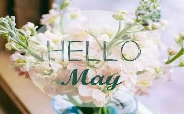 5月活动总结7篇