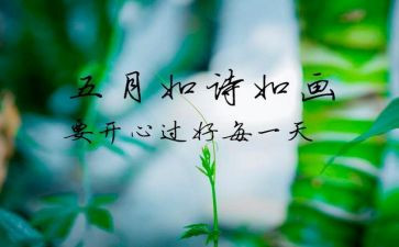 销售5月工作总结5篇