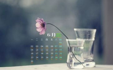 20236月政府工作报告模板7篇