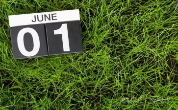 小班6月份周工作总结7篇