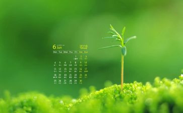 幼儿园中班6月份班级工作总结8篇