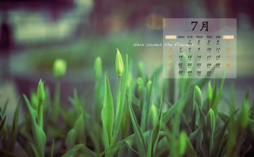 小班7月工作计划8篇