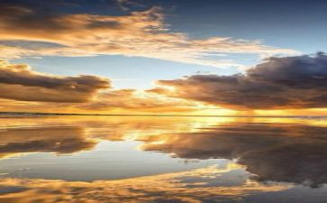 8月度工作总结范文参考6篇