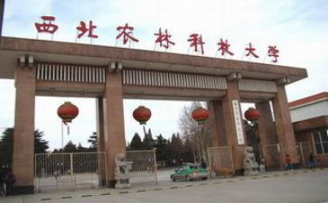985跨专业申请书优秀5篇