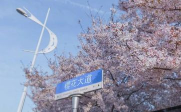 985跨专业申请书通用5篇