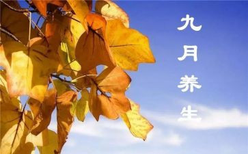 9月工作计划总结6篇