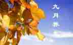 9月工作计划总结6篇