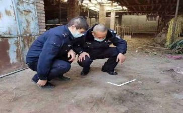 2024年档案管理工作总结报告6篇