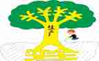 安全与心得体会300字5篇