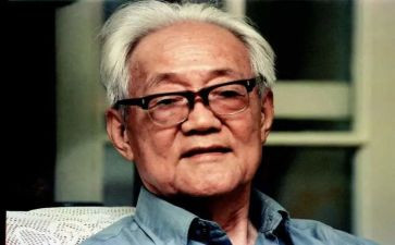 巴金作品读后感5篇