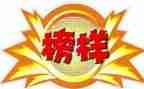 学榜样做榜样六心得体会模板5篇