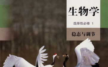 高中生物学期工作总结7篇
