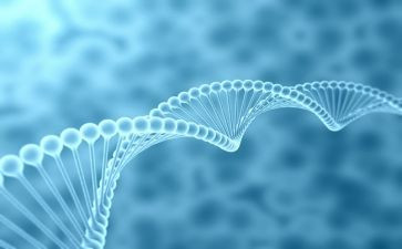生物组高中工作总结6篇