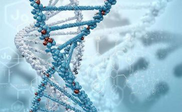 生物听课心得体会6篇