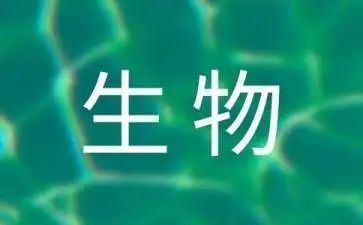 高二生物教师工作总结8篇