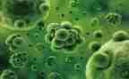 初中生物教学总结心得体会6篇