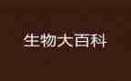 初中生物教师工作计划5篇