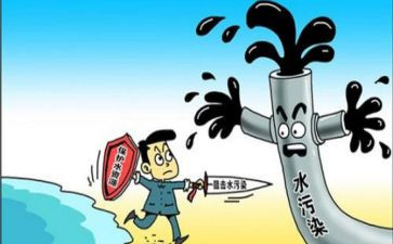 环境保护活动心得体会8篇