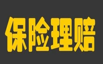 保险公司的实习个人总结6篇