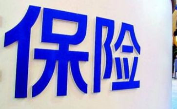 做保险员的心得体会精选6篇