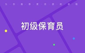 有保育证的工作总结优秀5篇