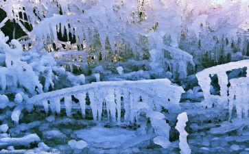 学校冰雪活动方案5篇