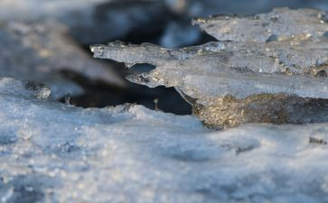 冰雪思政大课观后感心得体会7篇