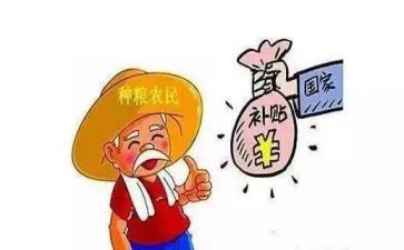 学生补贴的申请书7篇