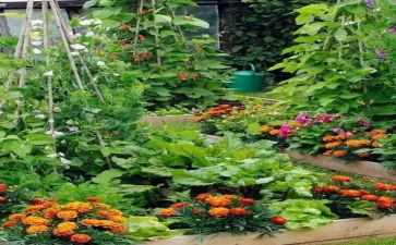 蔬菜供货供货合同7篇