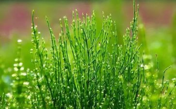 烟草2022个人工作总结7篇