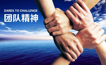 策划处工作总结模板6篇