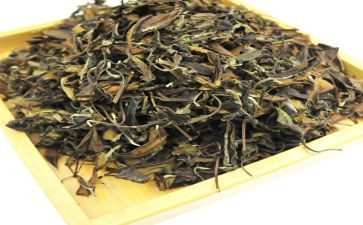 黑茶心得体会6篇