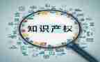2024知识产权心得8篇