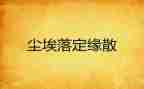 《尘埃落定》读后感7篇