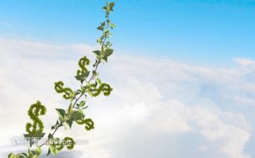 楼成长工作总结通用7篇