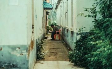 城南旧事琼君的读后感精选5篇