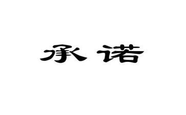 安全承诺书模板精选8篇